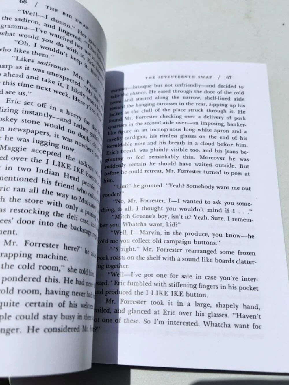 The Seventeenth Swap Paperback Book by Eloise McGraw Literature Novel  ISBN-10 ‏